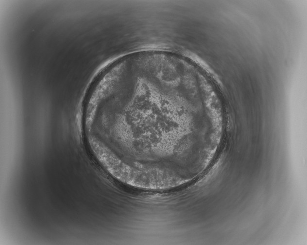 X0000101091222200807241001