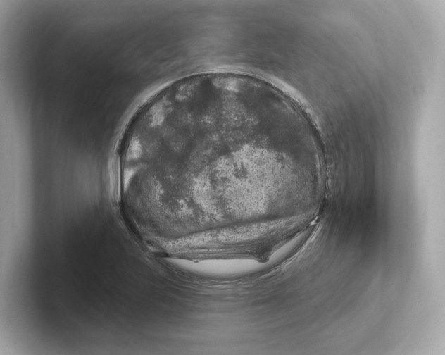 X0000101091223200807241001