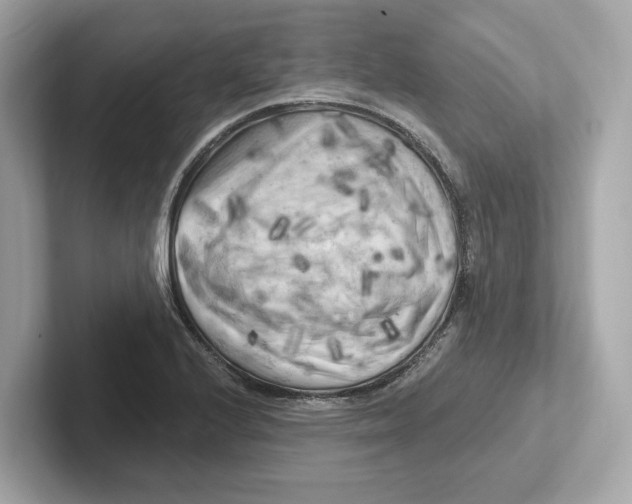 X0000101091224200807241001