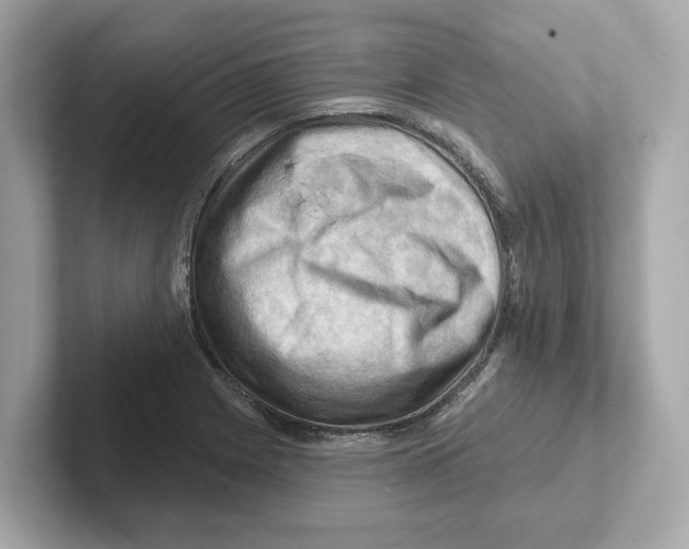 X0000101091225200807241001