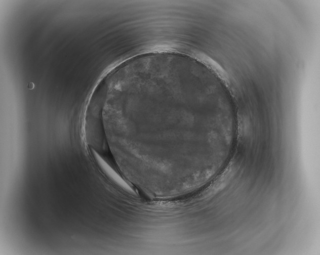 X0000101091226200807241001