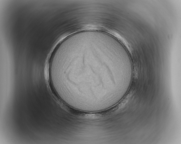 X0000101091227200807241001