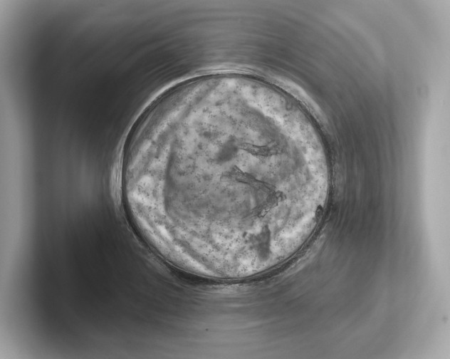 X0000101091228200807241001