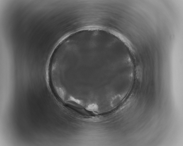 X0000101091229200807241001