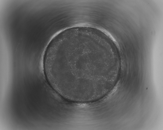 X0000101091230200807241001