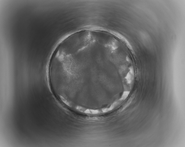 X0000101091231200807241001