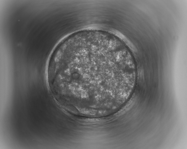 X0000101091232200807241001