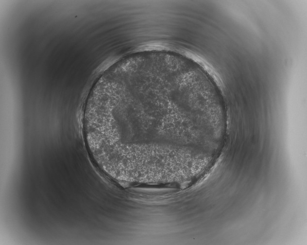 X0000101091233200807241001