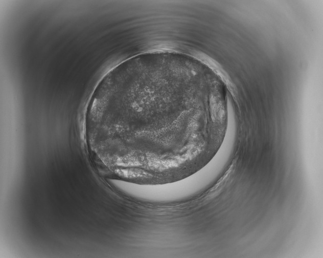 X0000101091234200807241001