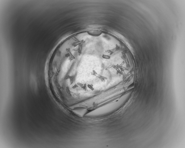 X0000101091235200807241001