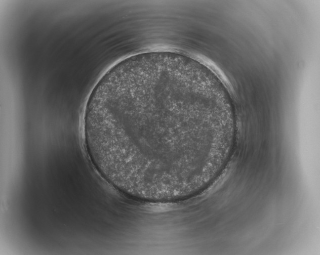 X0000101091236200807241001