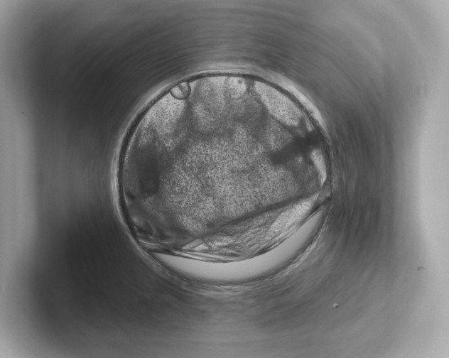 X0000101091237200807241001