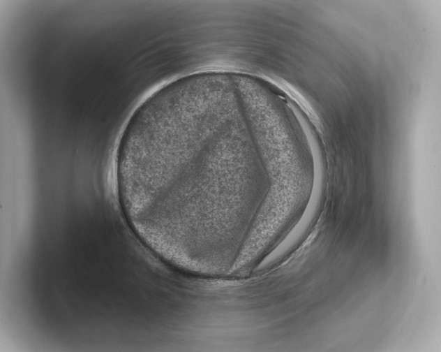 X0000101091238200807241001