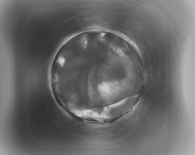 X0000101091239200807241001