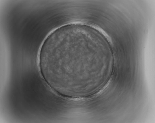 X0000101091240200807241001