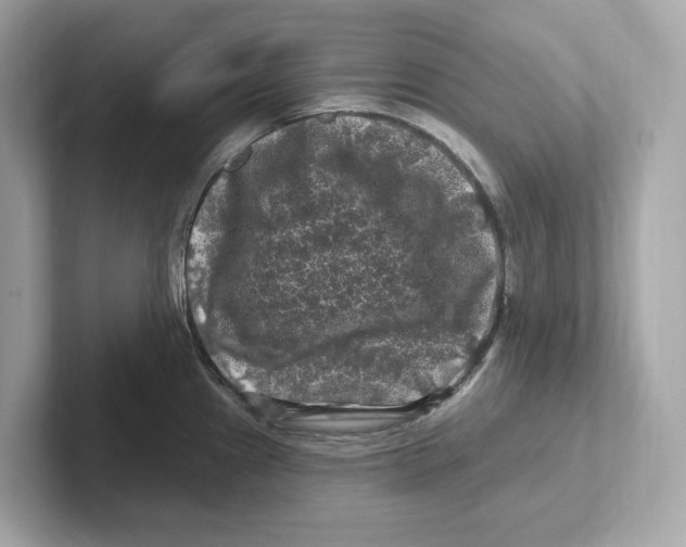 X0000101091241200807241001