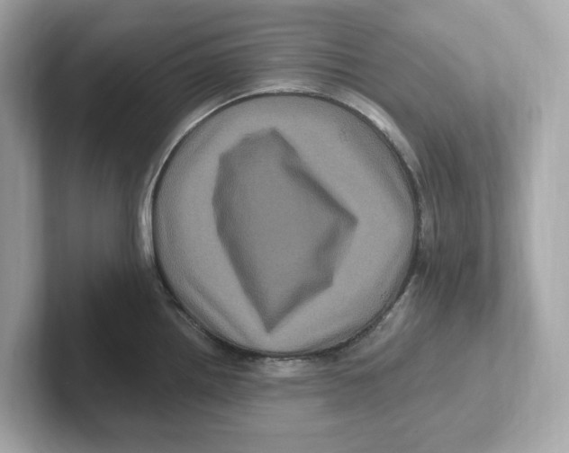 X0000101091242200807241001