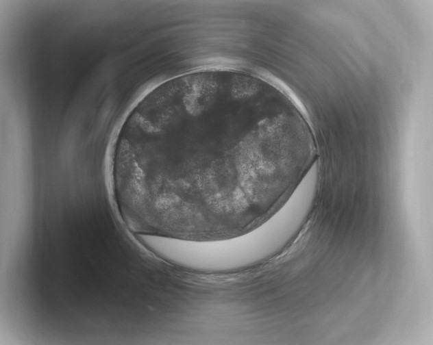 X0000101091243200807241001