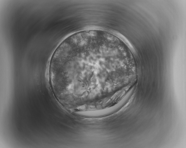 X0000101091244200807241001