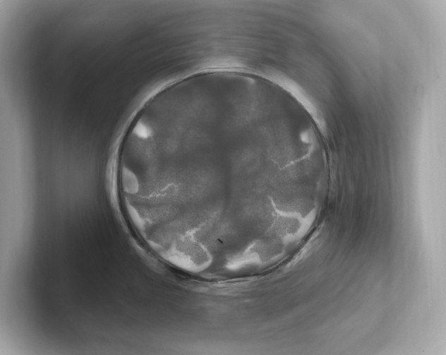 X0000101091245200807241001