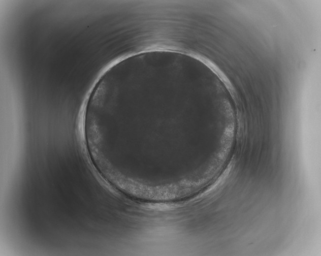 X0000101091246200807241001