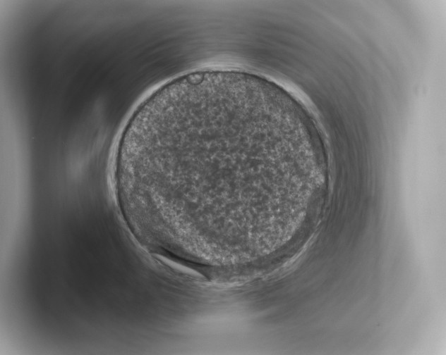 X0000101091248200807241001