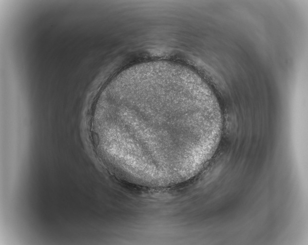 X0000101091249200807241001