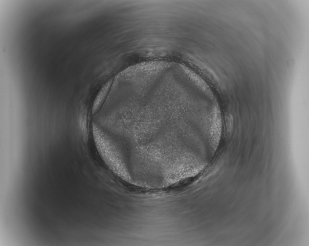 X0000101091250200807241001