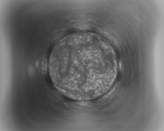 X0000101091251200807241000