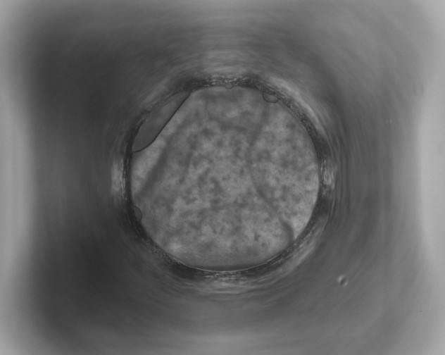 X0000101091252200807241000