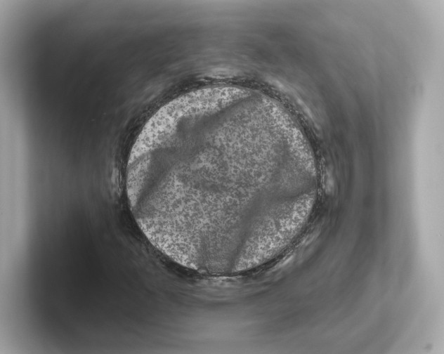 X0000101091253200807241000