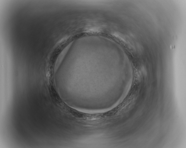 X0000101091254200807241000