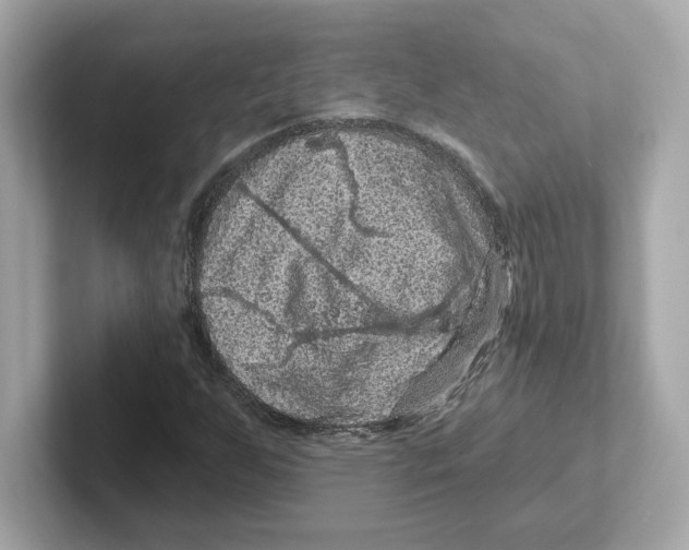 X0000101091255200807241000