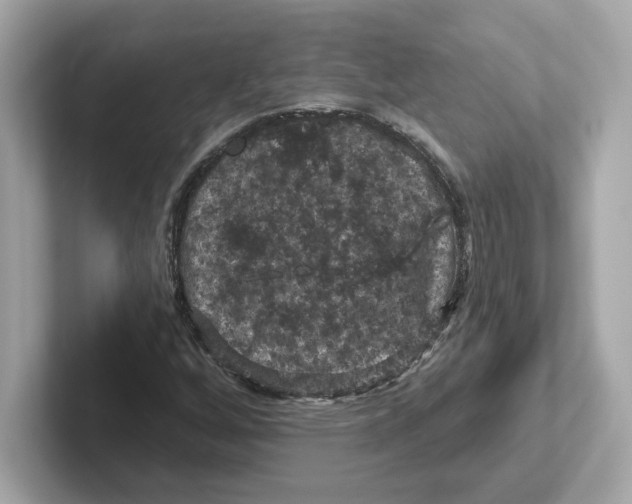 X0000101091256200807241000