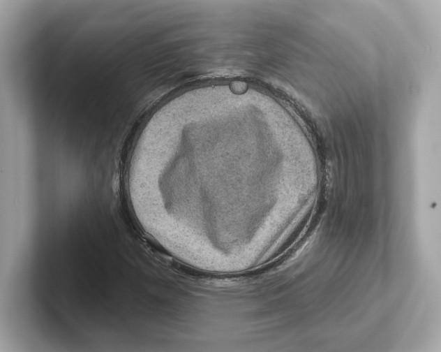 X0000101091257200807241000