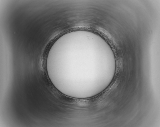 X0000101091258200807241000