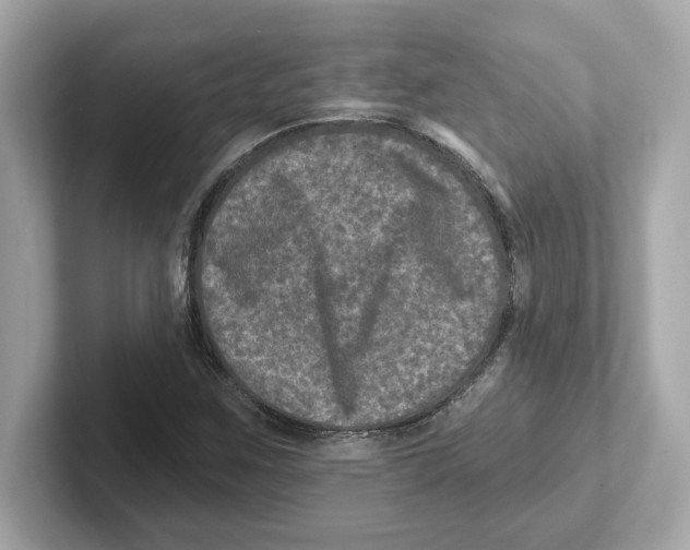 X0000101091259200807241000