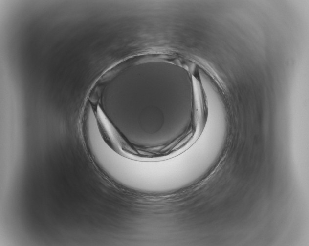 X0000101091260200807241000