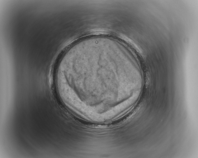 X0000101091261200807241000