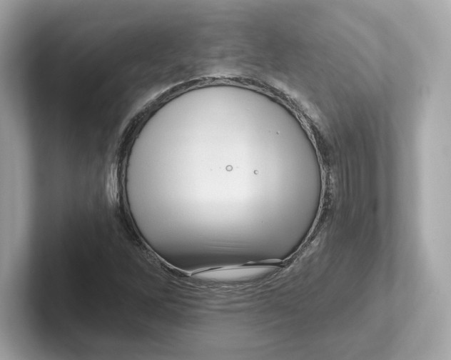 X0000101091262200807241000