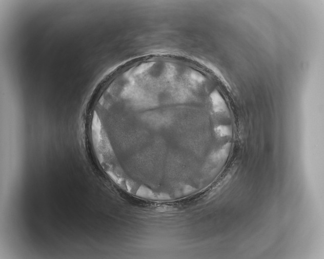 X0000101091263200807241000