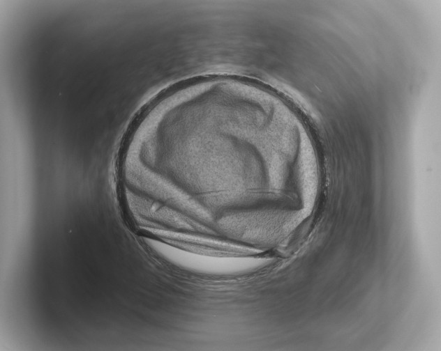 X0000101091264200807241000