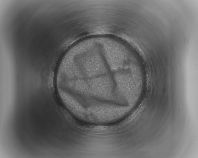 X0000101091265200807241000