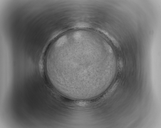 X0000101091266200807241000