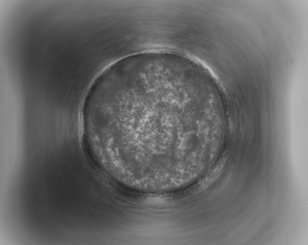 X0000101091267200807241000