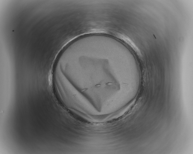 X0000101091268200807241000