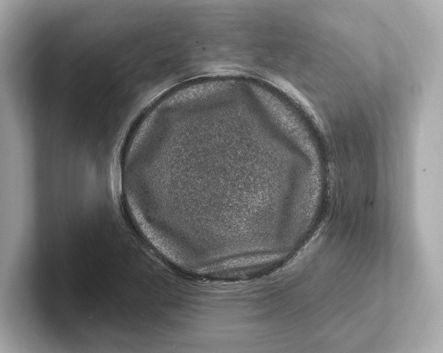 X0000101091269200807241000