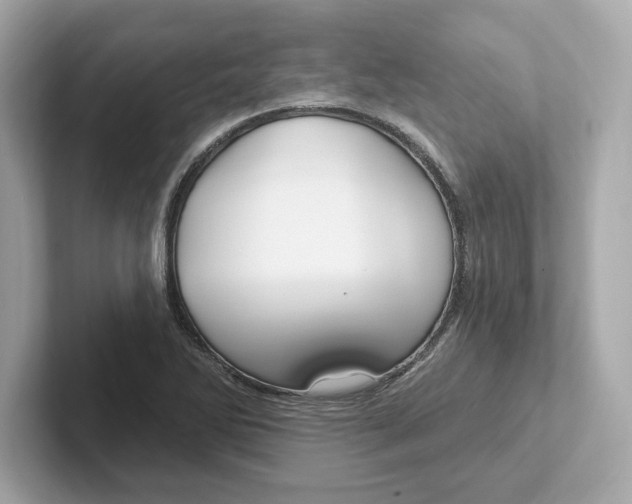 X0000101091270200807241000