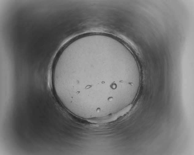 X0000101091272200807241000