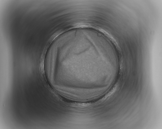 X0000101091273200807241000